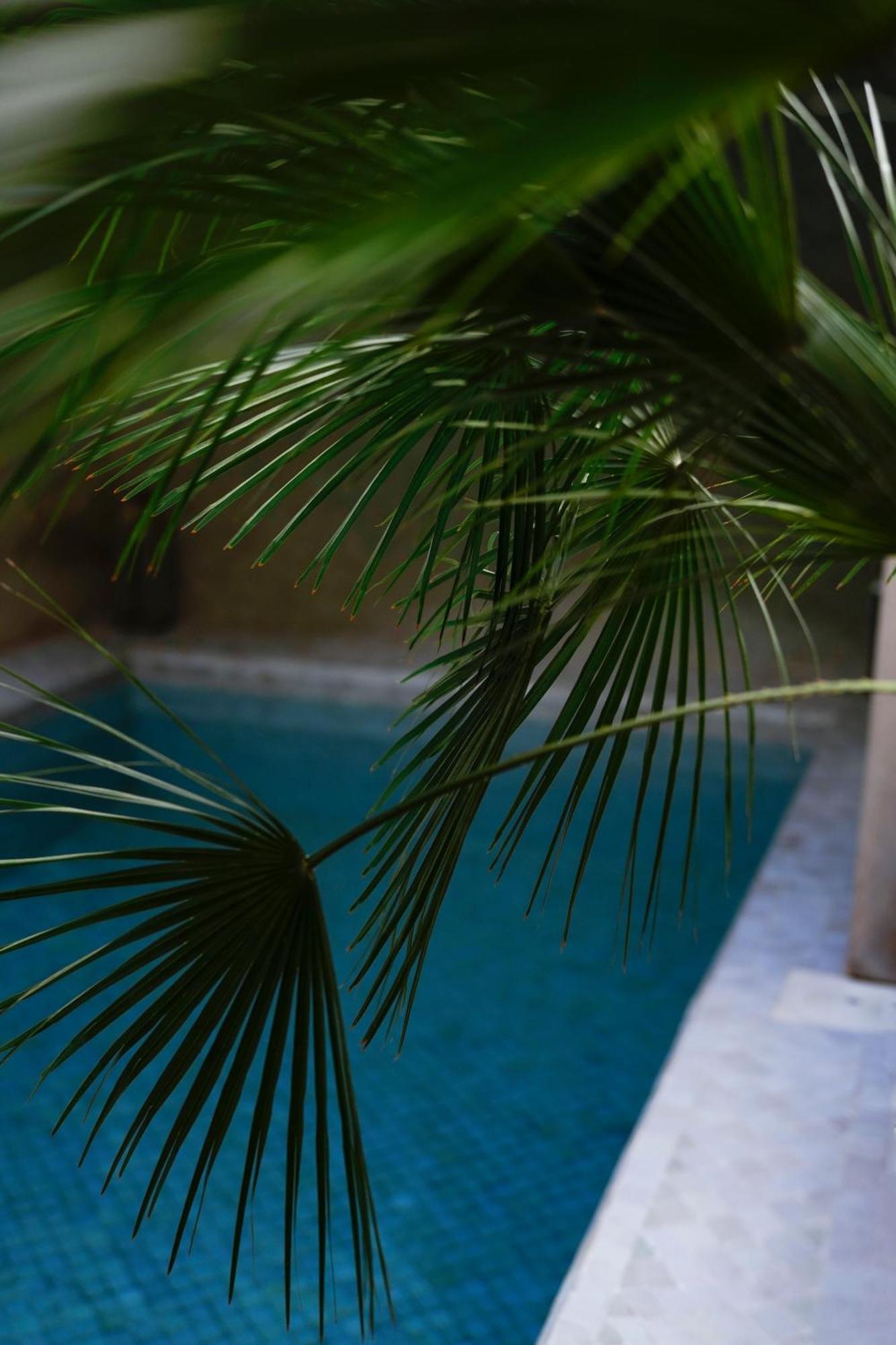 Riad Al Massarah マラケシュ エクステリア 写真